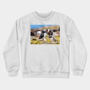 Atlantic Puffin with Sand Eels Crewneck Sweatshirt
